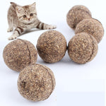 Catnip Play Ball