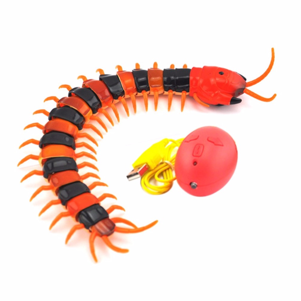 [SALE] "Cat & Curious" Centipede Cat Toy