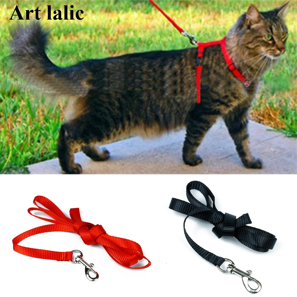 Cat Harness And Leash