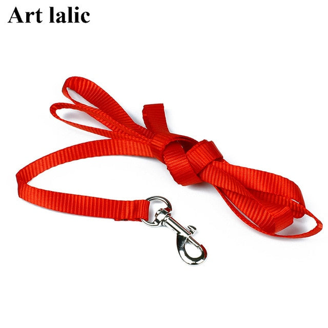 Cat Harness And Leash