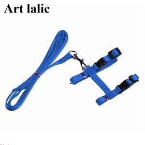 Cat Harness And Leash